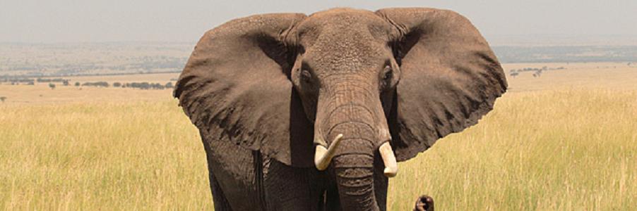 ����s�̓������̖��͂𑶕��ɁA�ڂ������J�ɉ������T�C�g�w����s�������̖��́x